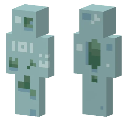 101 Followers D Minecraft skin