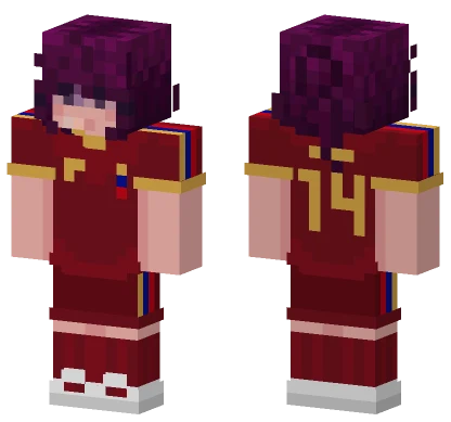 Ale Vinotinto Minecraft skin