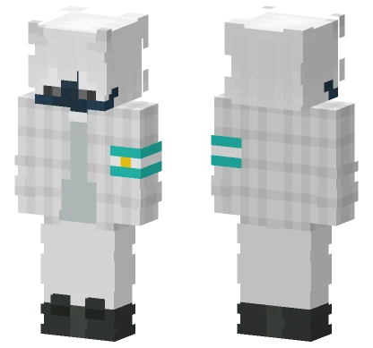 Asasasasa Minecraft skin