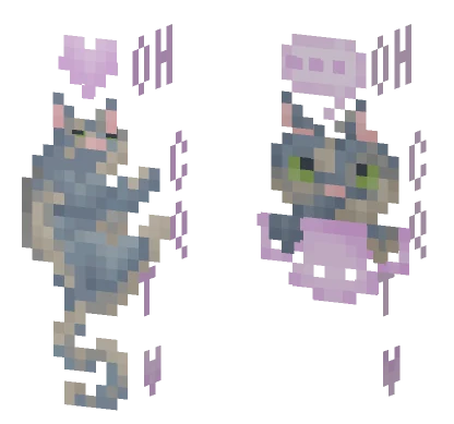 Attention New Logo Cat Minecraft skin