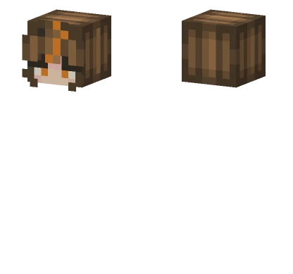 Autumn Head Minecraft skin