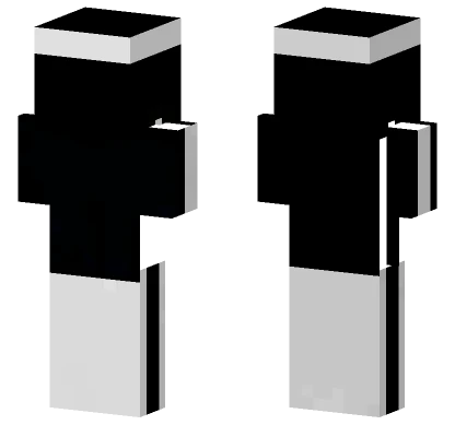 Black and White Robot Minecraft skin