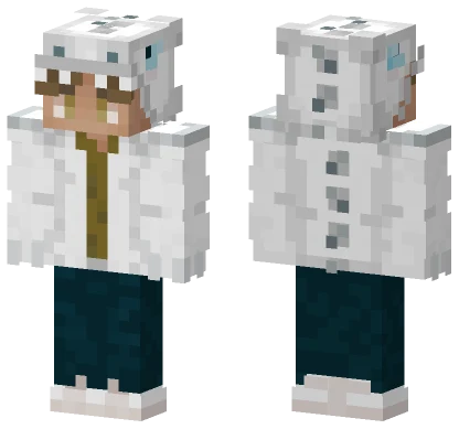 Boy in Light Fury Costume Minecraft skin