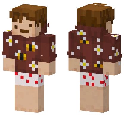 Brown Bee Cake Minecraft skin