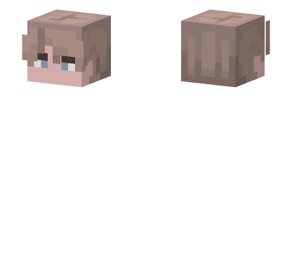 Brown Haired Boy Minecraft skin