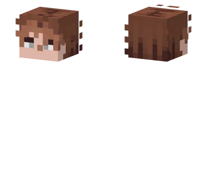 Brown Haired Boy Minecraft skin