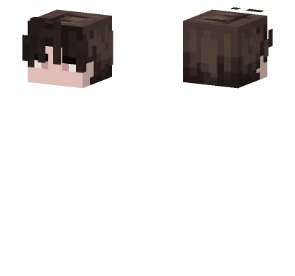Brown Haired Boy Minecraft skin