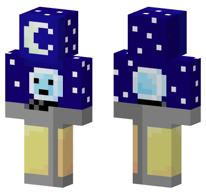 Bubble On A Cold Night Minecraft skin
