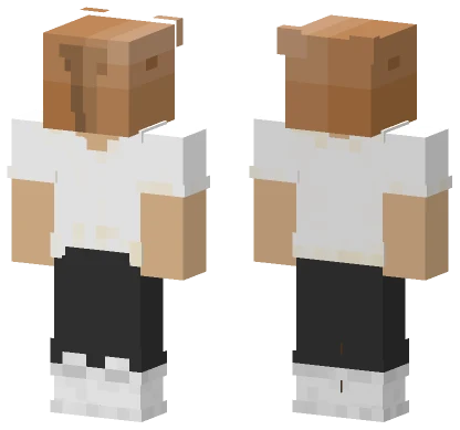 Capybara Minecraft skin