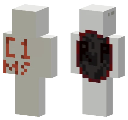 Class 1 Middle School Minecraft skin