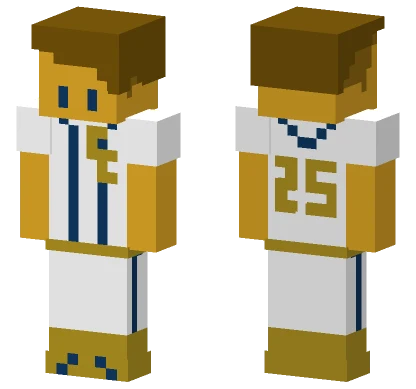 Colorado Curve Baseball Player Minecraft skin