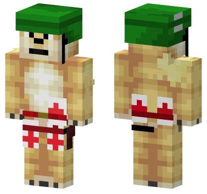 Doge Medic Minecraft skin