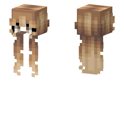 Female Hb Champaign Ombre Fade Minecraft skin