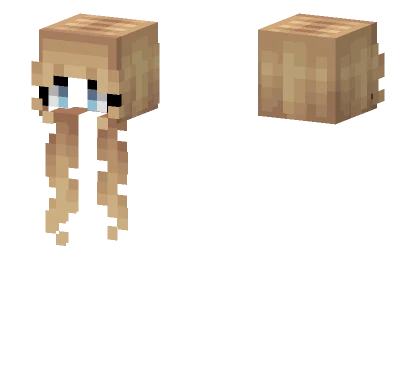 Female HB Long Dirty Blonde V2 Minecraft skin