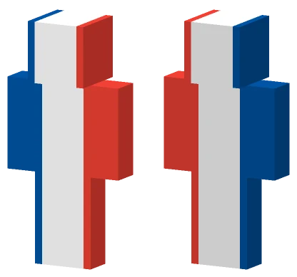 France 1976 2021 Minecraft skin