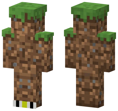 Grassy Block Skin Minecraft skin