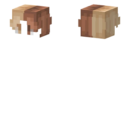 Hb Salted Caramel Chocolate Minecraft skin