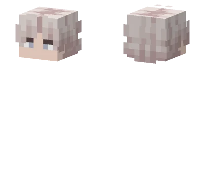Head Minecraft skin