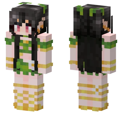 Historya Minecraft skin