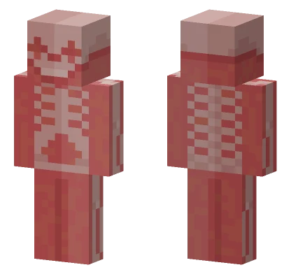 I Forgot What I Wanted Minecraft skin