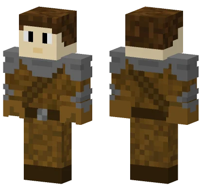 Iron Wood Knight V3 Minecraft skin