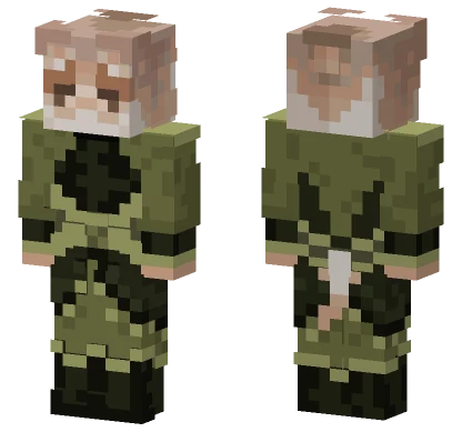 Joam Minecraft skin