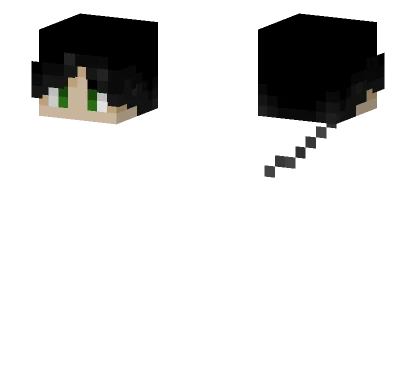 Just The Head Minecraft skin