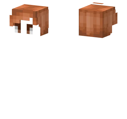 Male Hb Nut Brown Minecraft skin