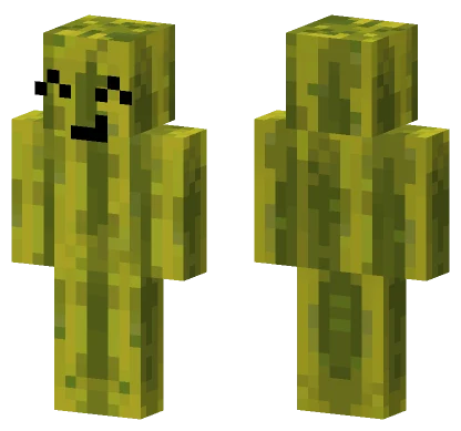Melon Character Minecraft skin