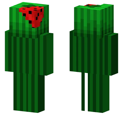 Melon Guy Minecraft skin