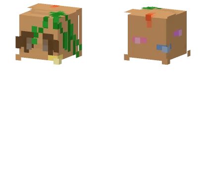 My Head Minecraft skin