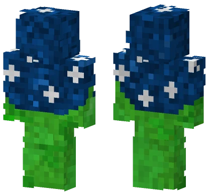 Night Sky Skin Minecraft skin