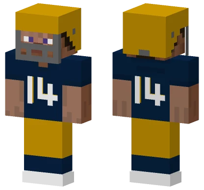 Notre Dame Home Minecraft skin