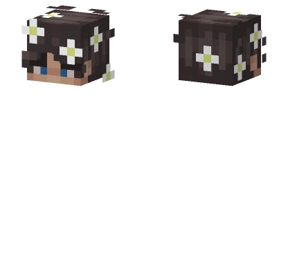 Only Head Minecraft skin