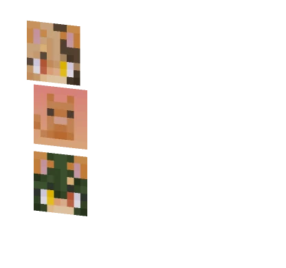 Pfps For Xxkatkorexx 3 Minecraft skin