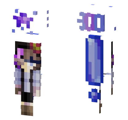 Poll 300 Minecraft skin