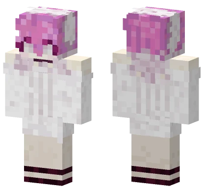 Puri Minecraft skin