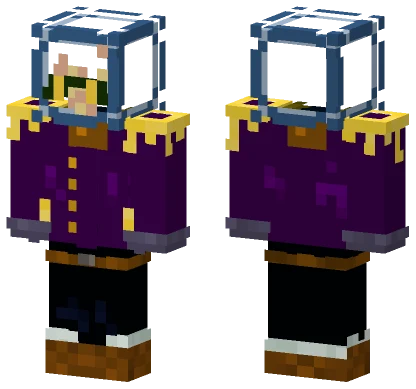 Purple Mage Robes Minecraft skin