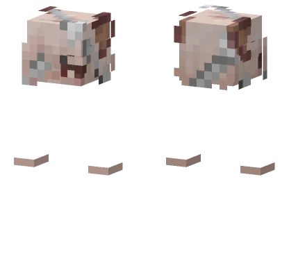 Ratts Head Minecraft skin
