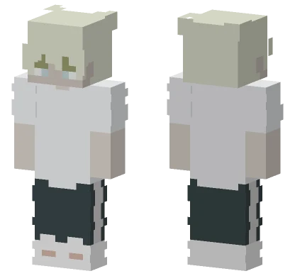 Results Minecraft skin