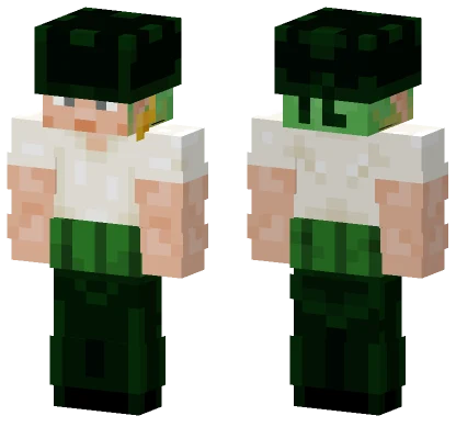 Roronoa Zoro Pre Timeskip Minecraft skin