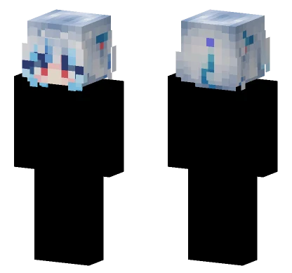 Seal Skin Minecraft skin