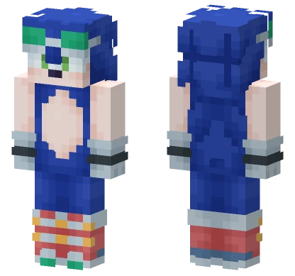 Sonic Riders Minecraft skin