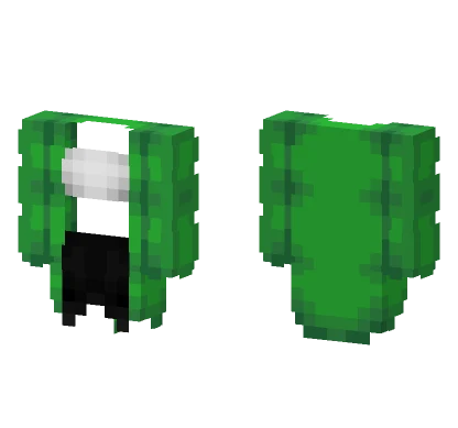 St Patrick Green Coat Minecraft skin
