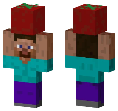 Steve Holding Tomato Minecraft skin