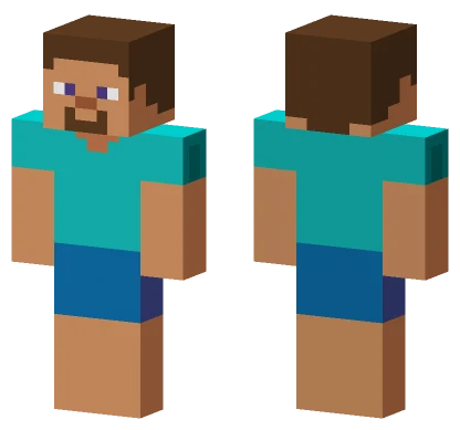 Steve With Brown Hat Minecraft skin