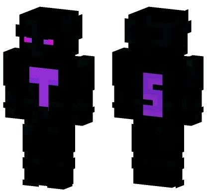 T 5 Skin Minecraft skin