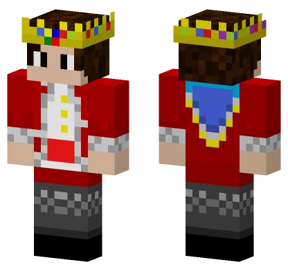 Technoblade H Doctor Minecraft skin