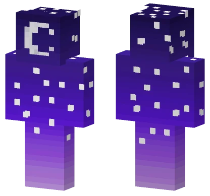 The Stars Look Beautiful Tonight Minecraft skin