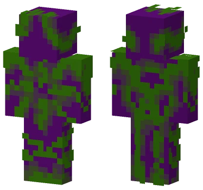 The What The Hell Prikoldas Skin Minecraft skin